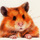 A picture of a hamster.
